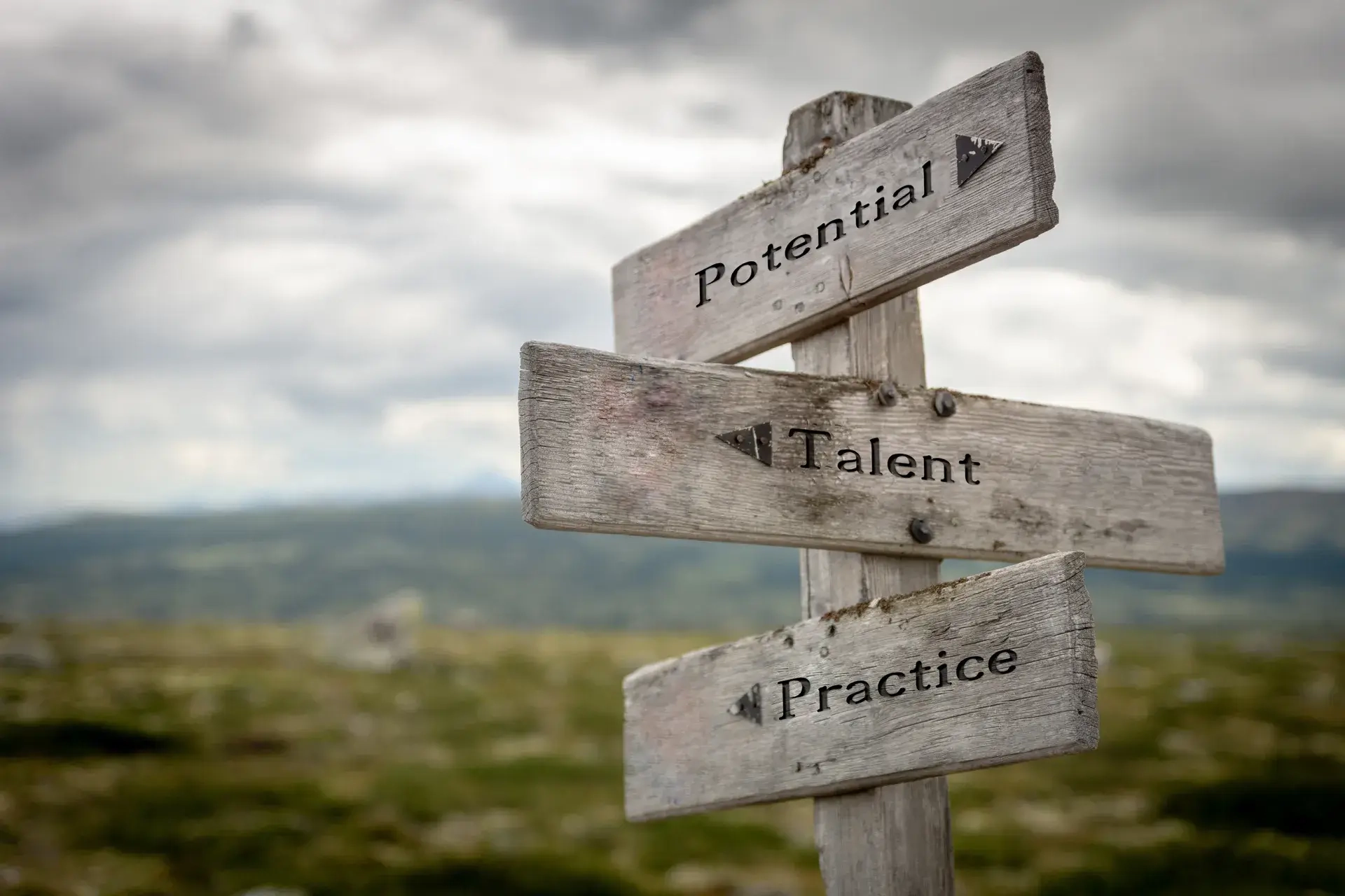 Potential, Talent und Übung auf Schild als Wegweiser
